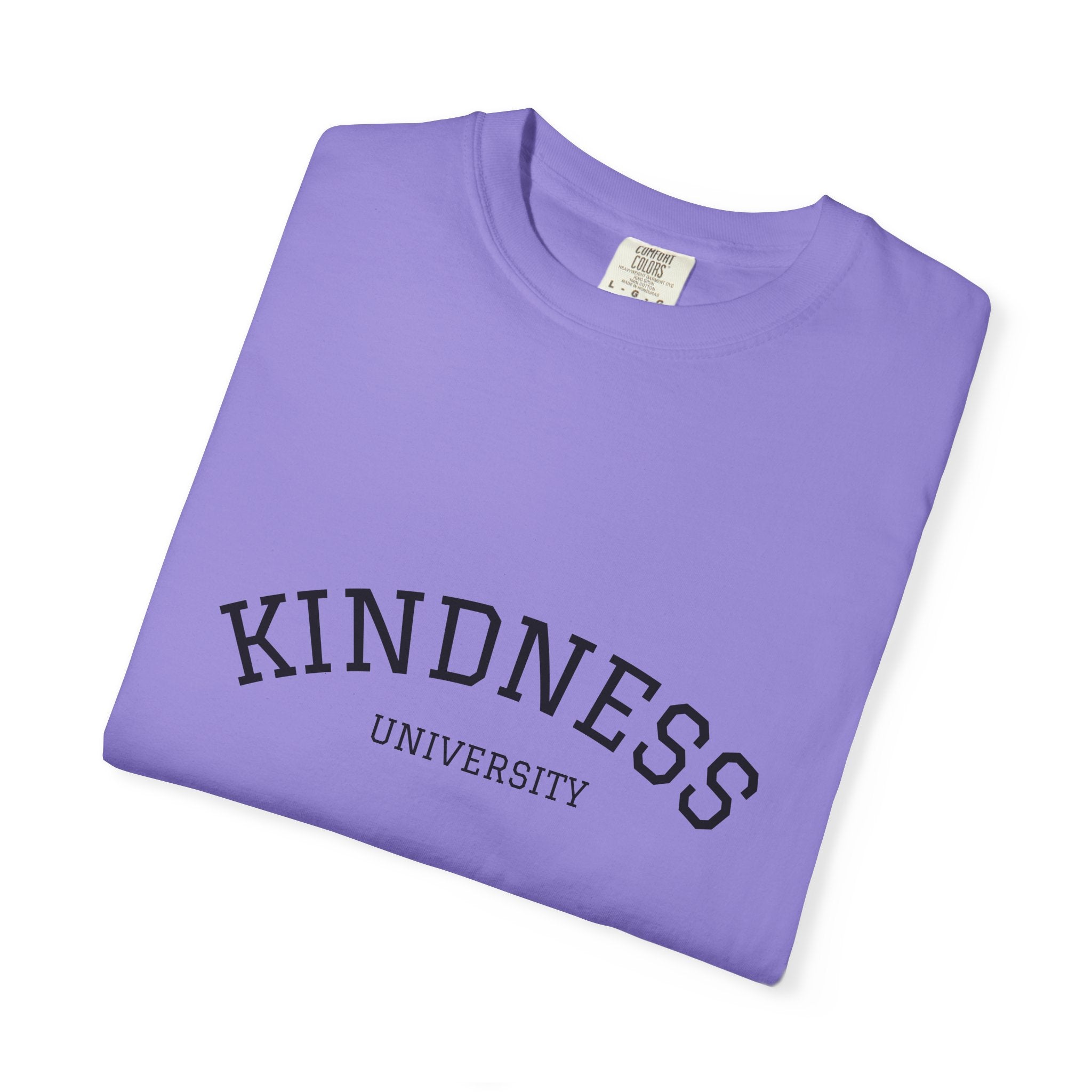 Copy of Kindness University T‑Shirt — Vintage Collegiate Graphic Tee