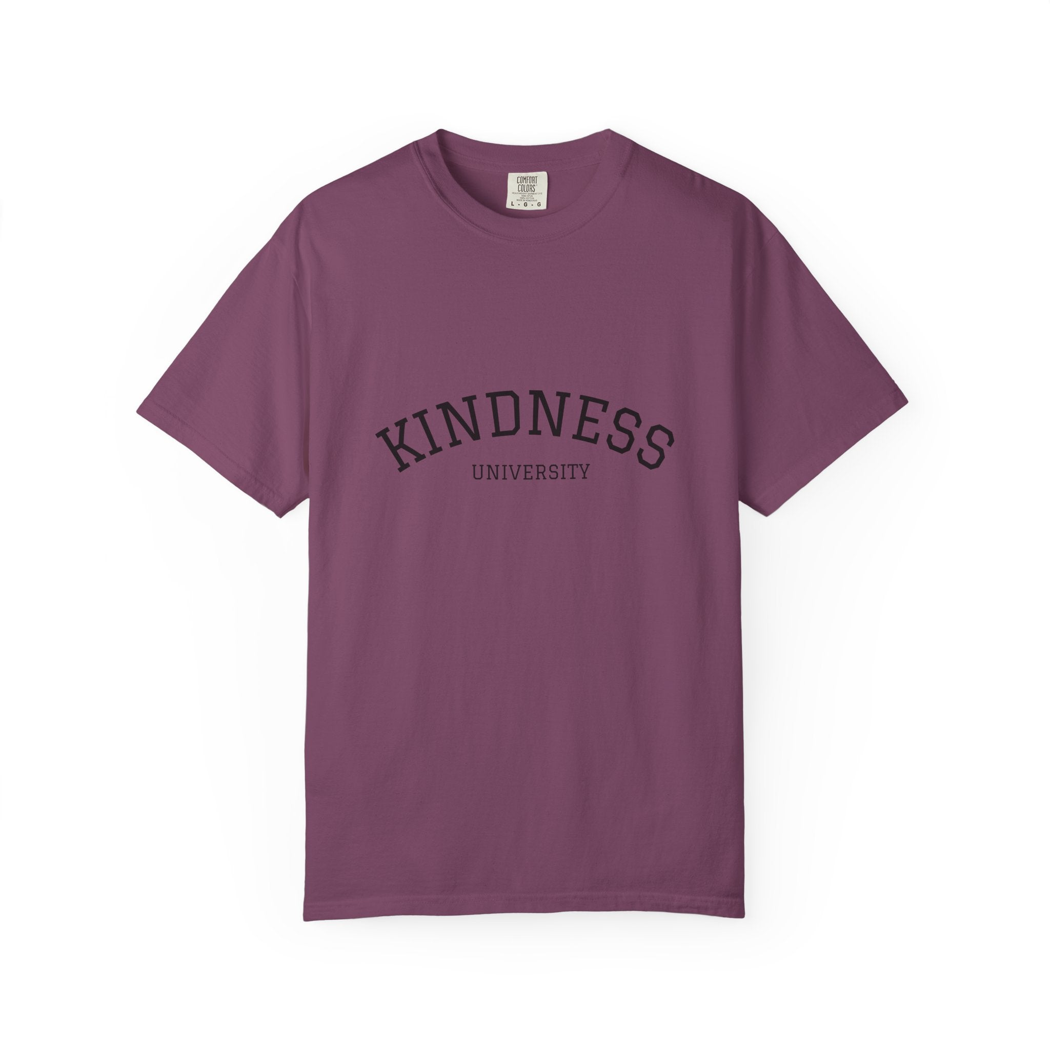 Kindness University T‑Shirt — Vintage Collegiate Graphic Tee