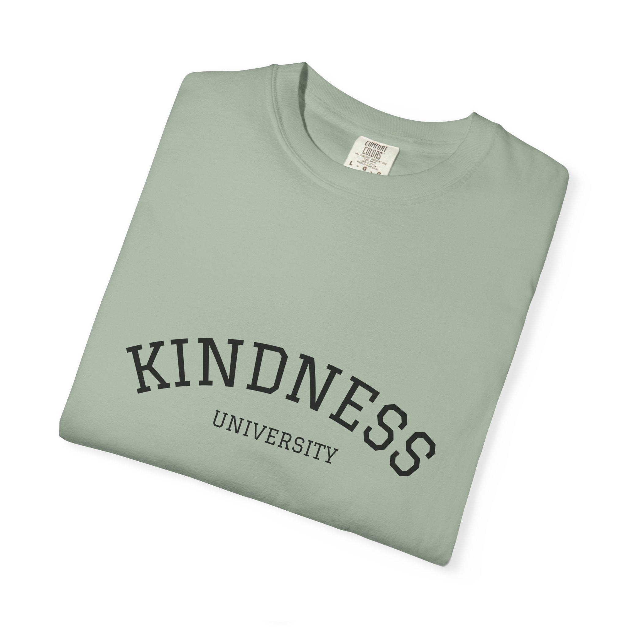 Copy of Kindness University T‑Shirt — Vintage Collegiate Graphic Tee