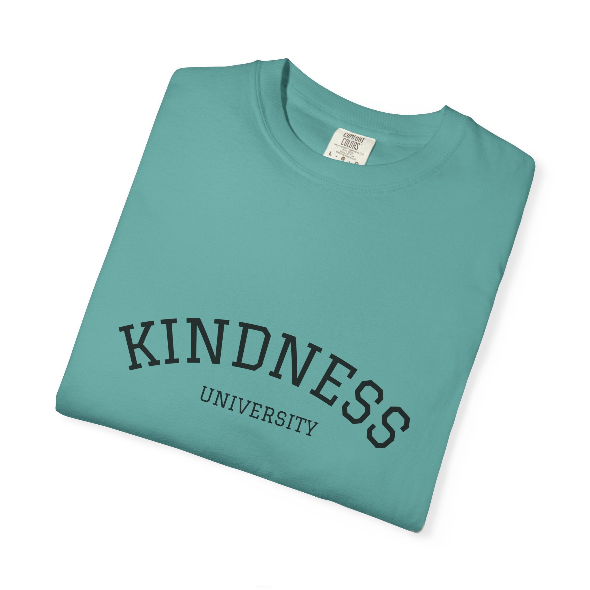 Copy of Kindness University T‑Shirt — Vintage Collegiate Graphic Tee